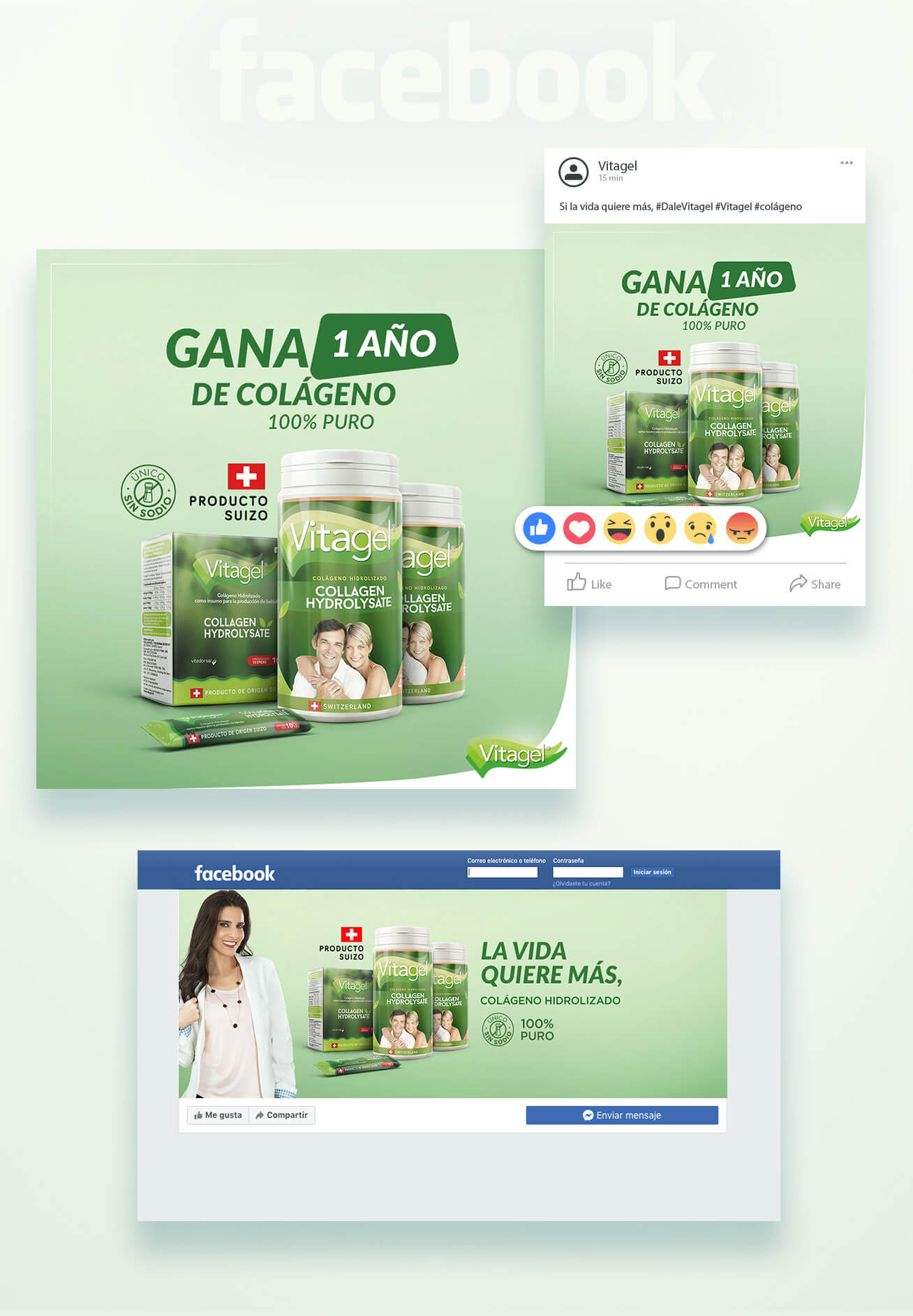 lote 2 redes sociales vitagel