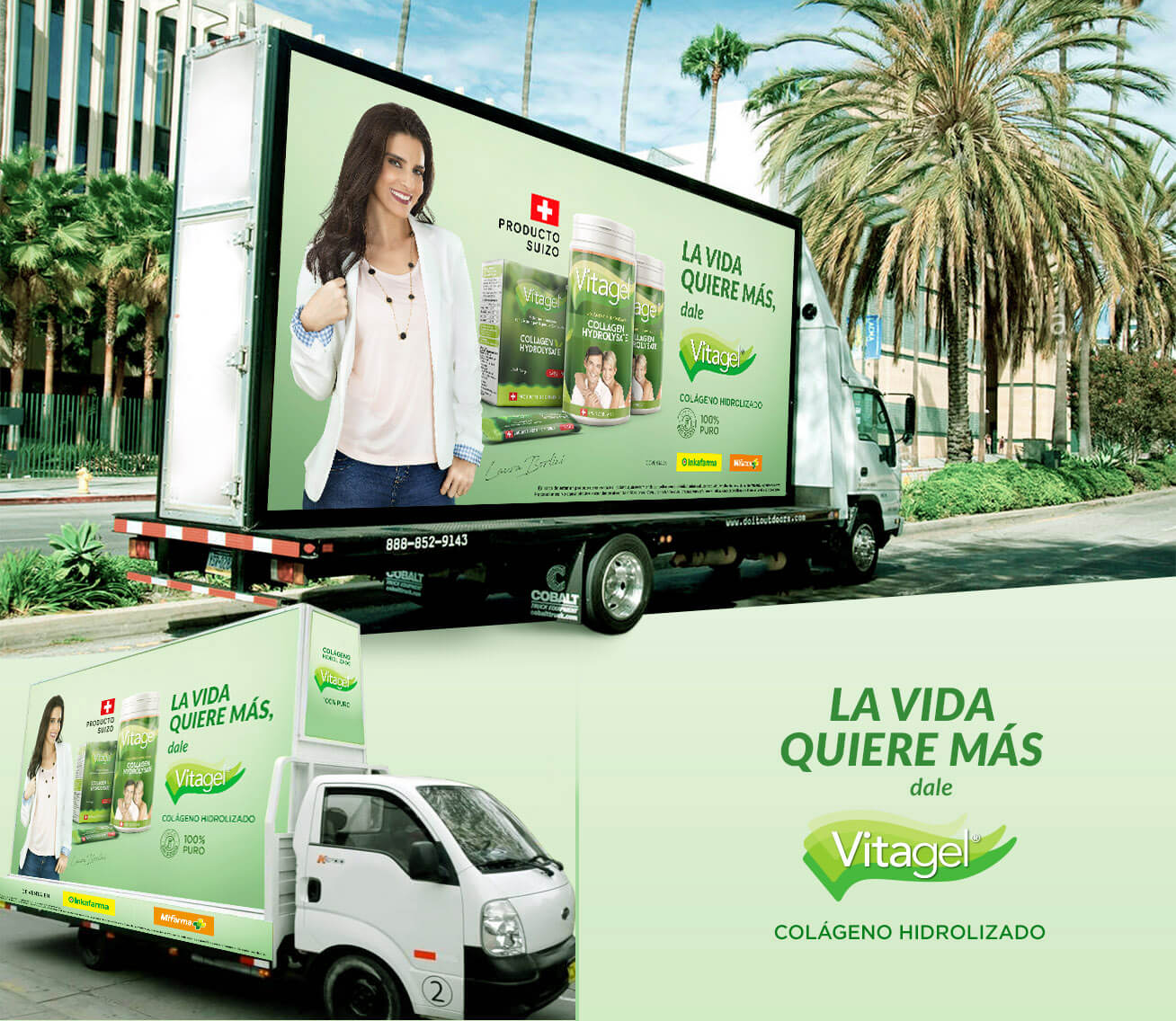 lote 3 carros para vitagel