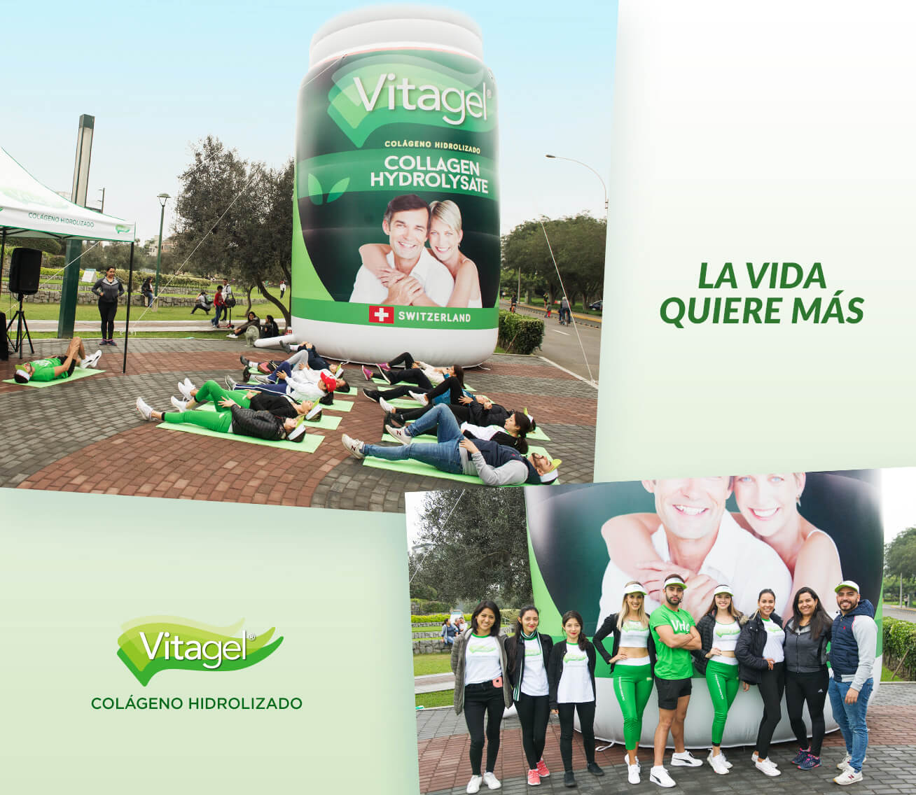 lote 4 evento vitagel